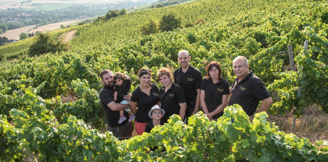 Weinschloesschen Im Weingut Roos 호텔 Ilbesheim 외부 사진